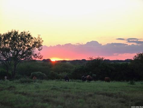 6203 Fm 673 Beeville TX 78102