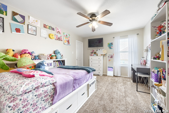 229 Arcadia Place Cibolo TX 78108