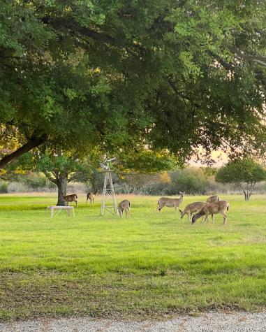 433 Mills Lane Uvalde TX 78801