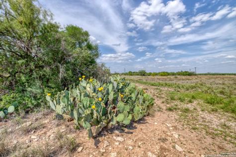 433 Mills Lane Uvalde TX 78801