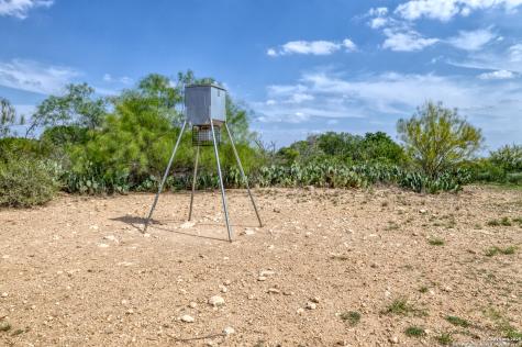433 Mills Lane Uvalde TX 78801