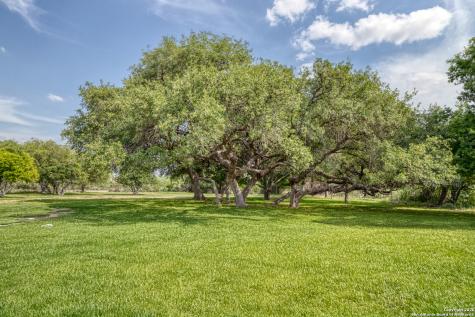 433 Mills Lane Uvalde TX 78801