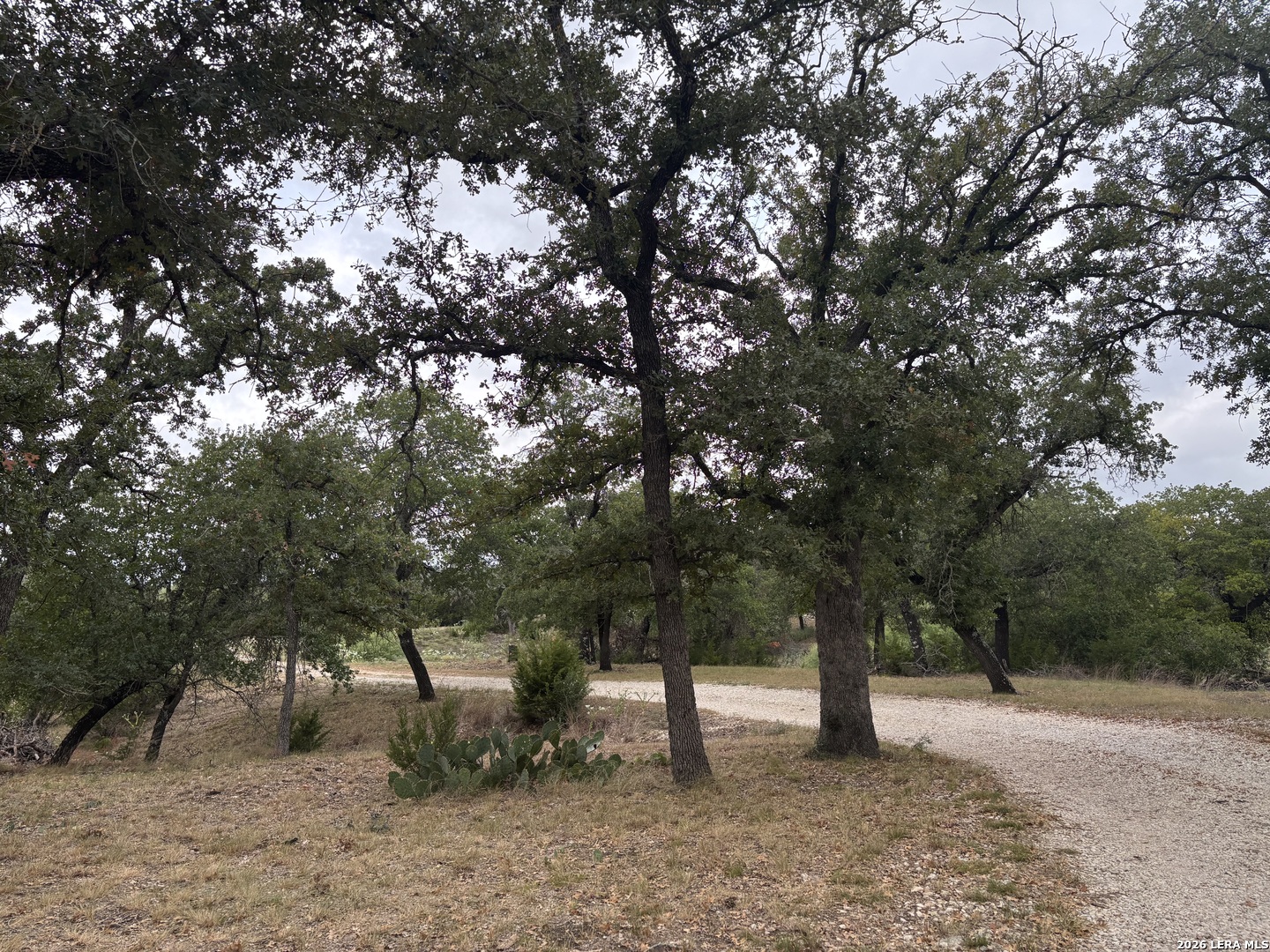 801 Orchard Park Boulevard Medina TX 78055