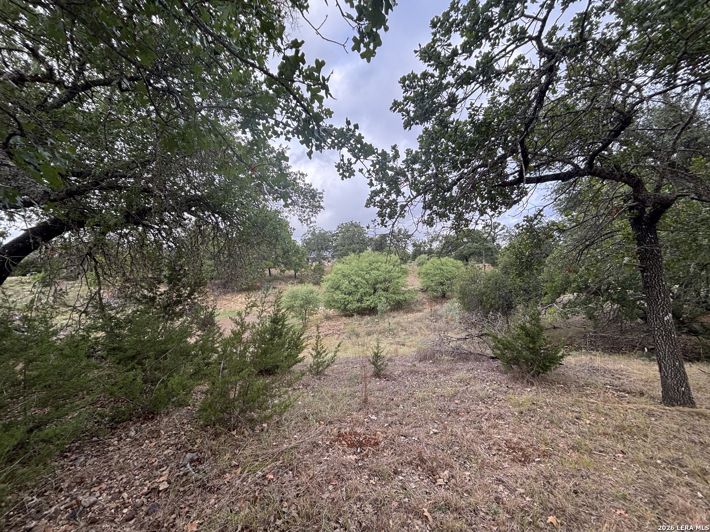 801 Orchard Park Boulevard Medina TX 78055