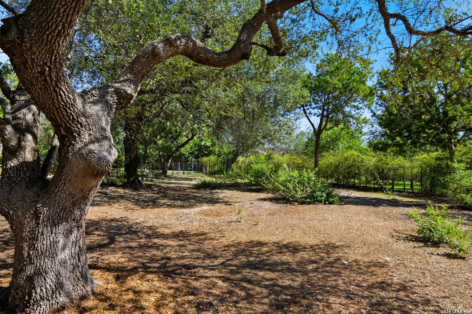 144 Balcones Bend Boerne TX 78006