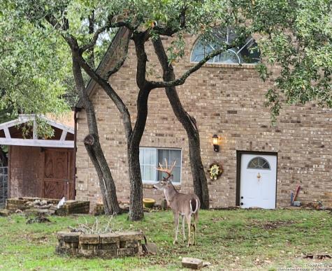 1076 Eastview Canyon Lake TX 78133