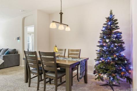 10430 Rhyder Ridge San Antonio TX 78254
