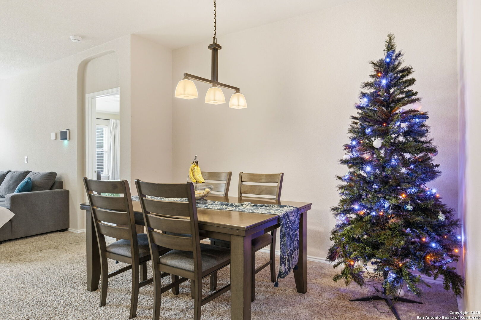 10430 Rhyder Ridge San Antonio TX 78254