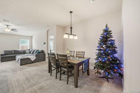10430 Rhyder Ridge San Antonio TX 78254