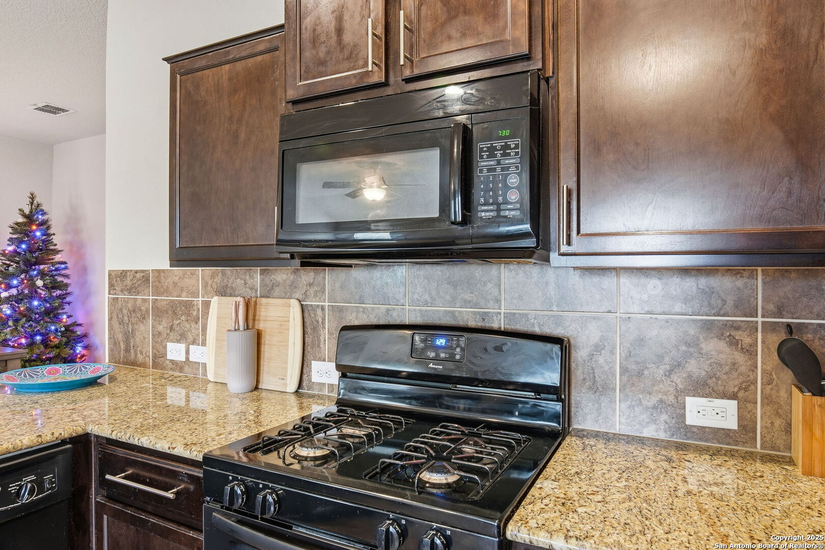 10430 Rhyder Ridge San Antonio TX 78254