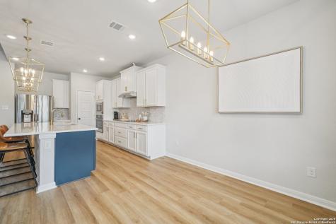 3225 Mountain Mint New Braunfels TX 78130