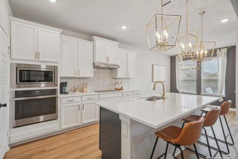3225 Mountain Mint New Braunfels TX 78130