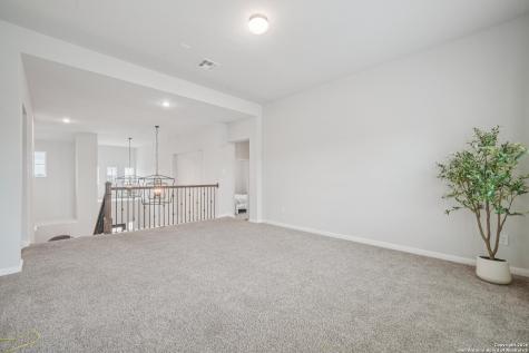 3225 Mountain Mint New Braunfels TX 78130