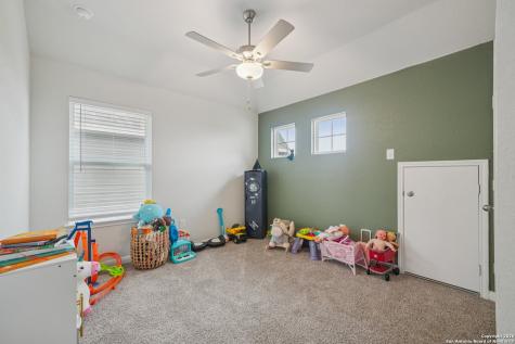 3225 Mountain Mint New Braunfels TX 78130
