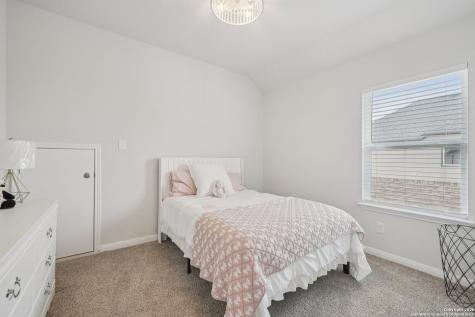 3225 Mountain Mint New Braunfels TX 78130