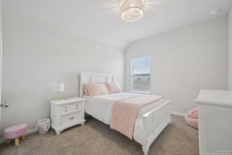 3225 Mountain Mint New Braunfels TX 78130