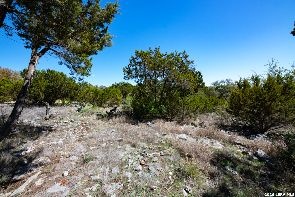 339 Valley New Braunfels TX 78132