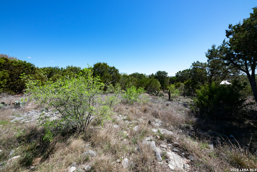 339 Valley New Braunfels TX 78132