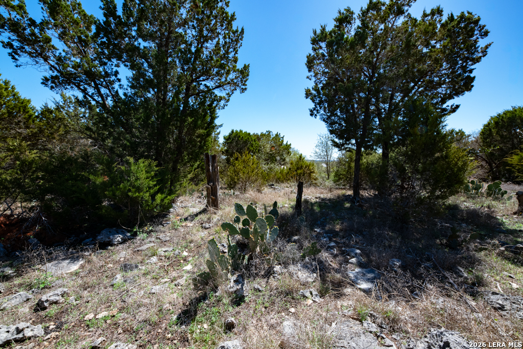 339 Valley New Braunfels TX 78132