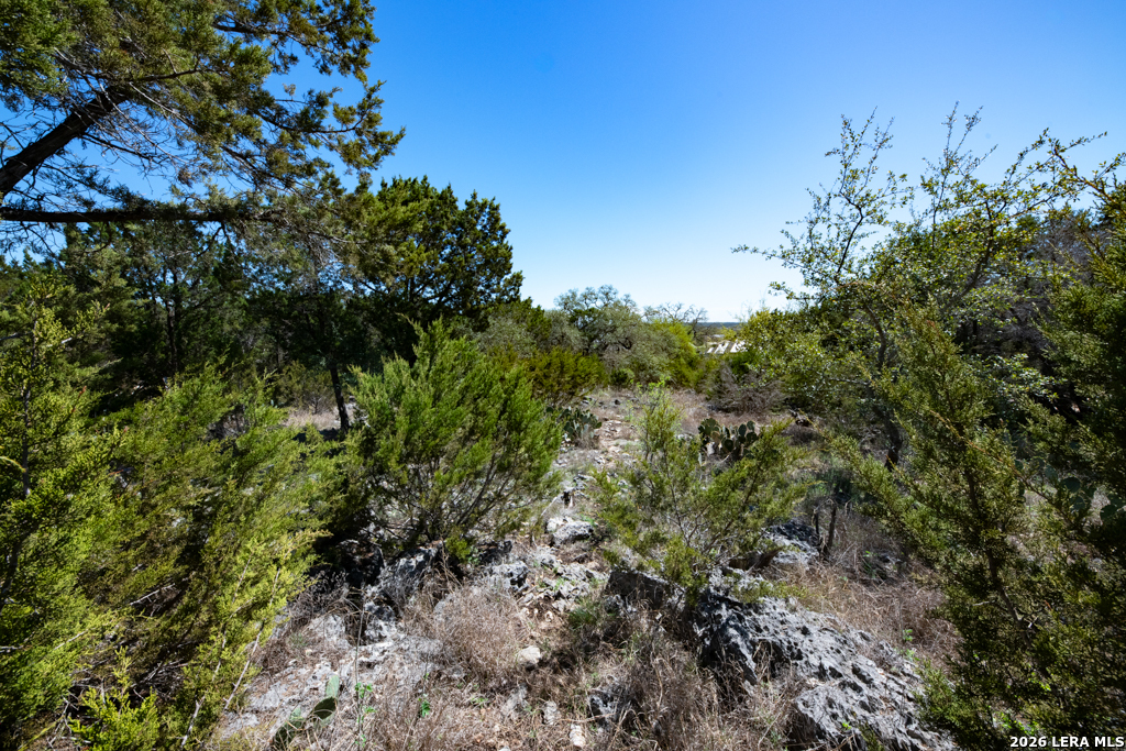 339 Valley New Braunfels TX 78132
