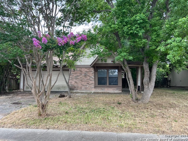 9735 Misty Ash Drive Converse TX 78109