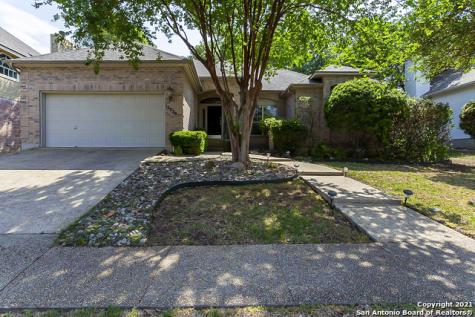 15228 Antler Creek Drive San Antonio TX 78248