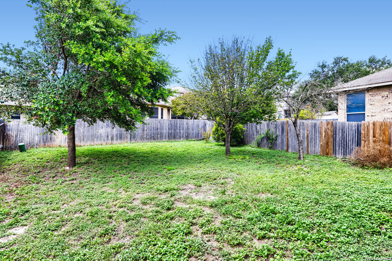 12118 Painted Daisy San Antonio TX 78253