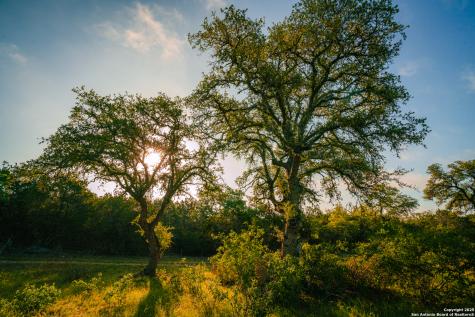 000 Rolling Hill Spring Branch TX 78070