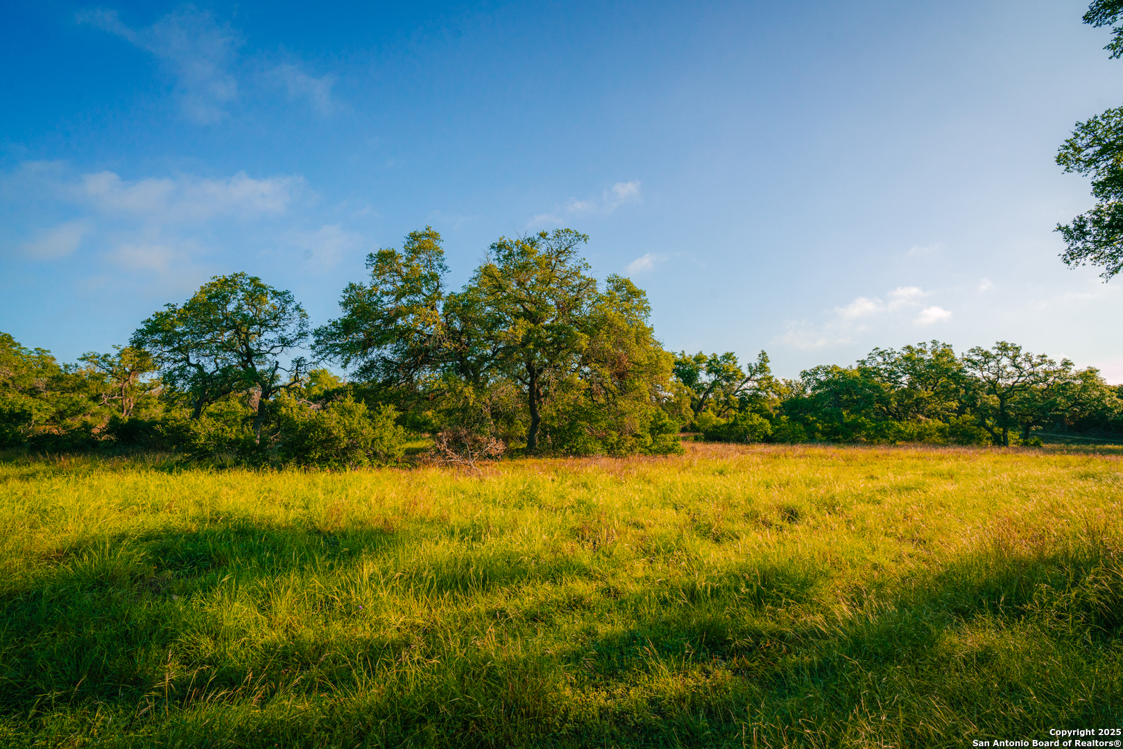 000 Rolling Hill Spring Branch TX 78070