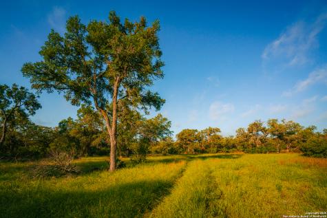 000 Rolling Hill Spring Branch TX 78070