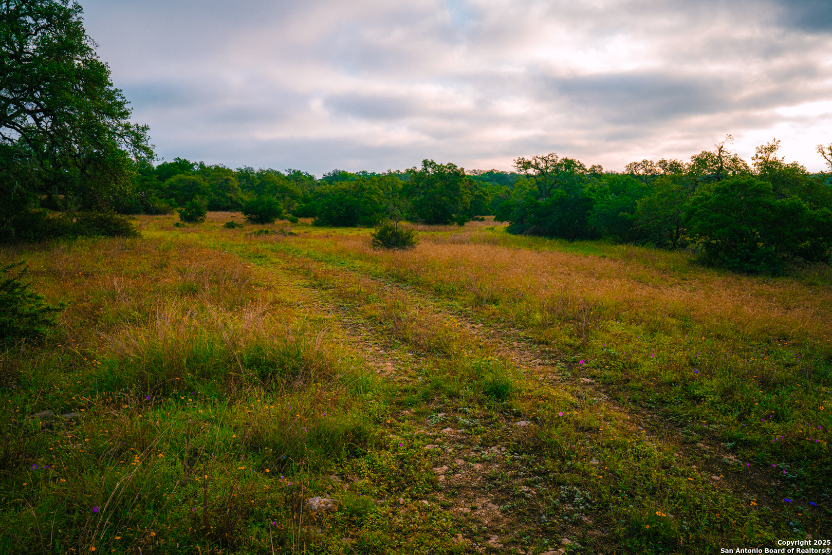 000 Rolling Hill Spring Branch TX 78070