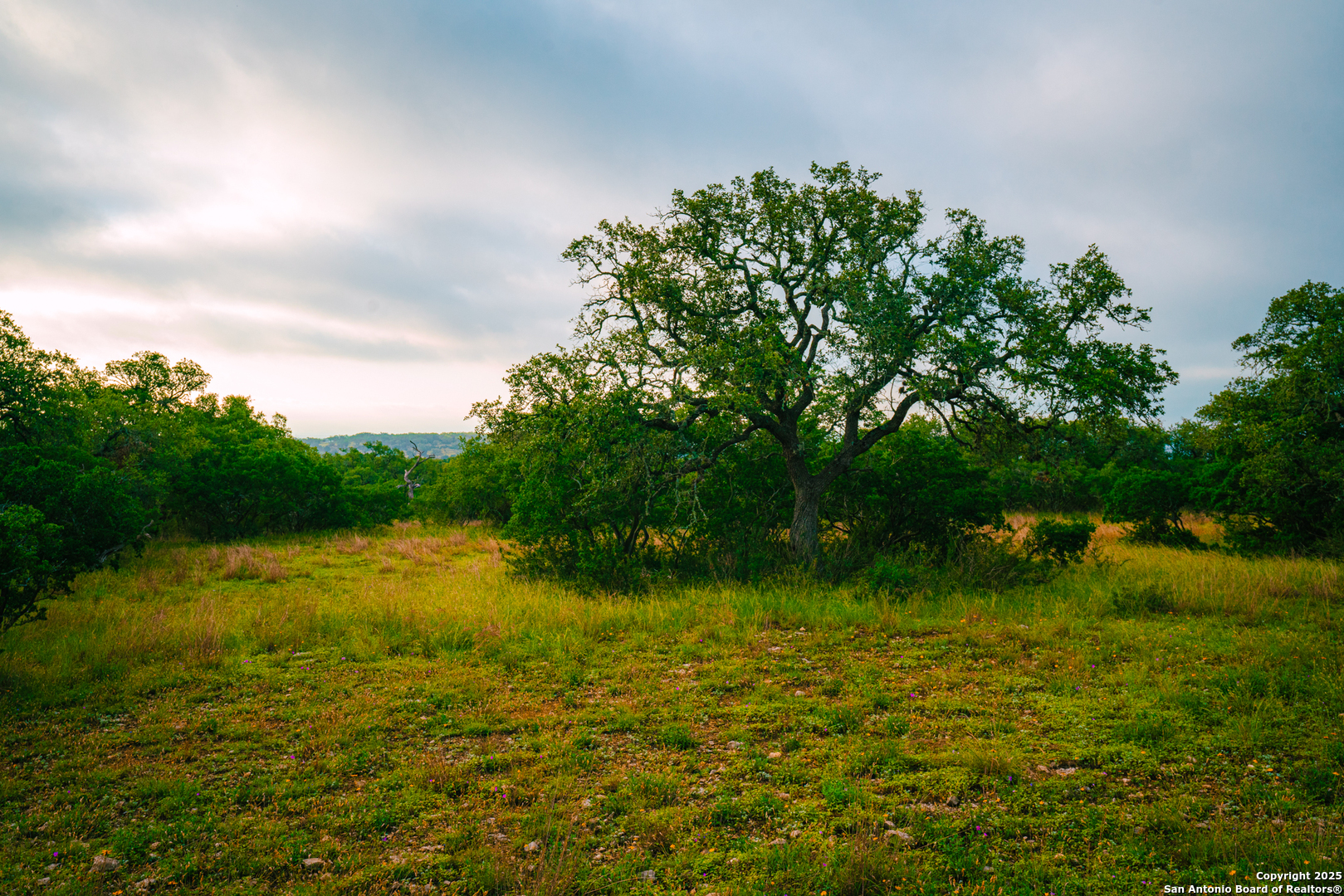 000 Rolling Hill Spring Branch TX 78070
