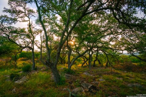 000 Rolling Hill Spring Branch TX 78070