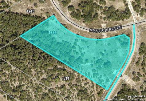 1239 Mystic Breeze Spring Branch TX 78070