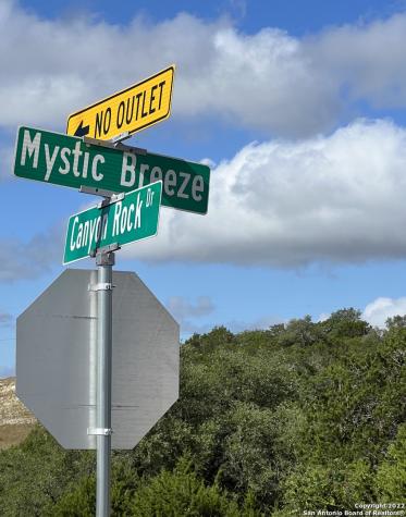 1239 Mystic Breeze Spring Branch TX 78070