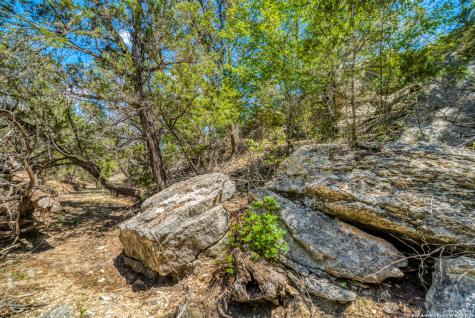 1239 Mystic Breeze Spring Branch TX 78070