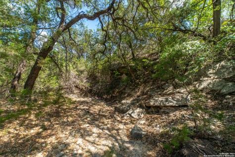 1239 Mystic Breeze Spring Branch TX 78070