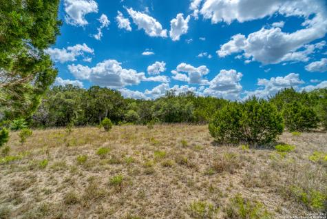 1239 Mystic Breeze Spring Branch TX 78070