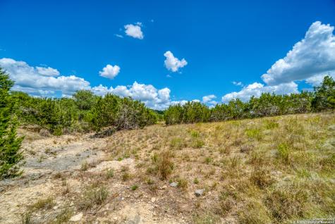 1239 Mystic Breeze Spring Branch TX 78070