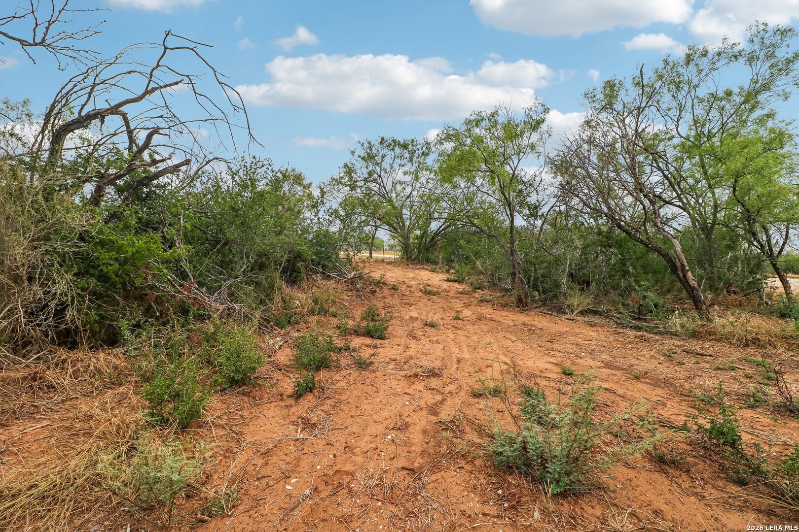 172 County Road 2667 Devine TX 78016