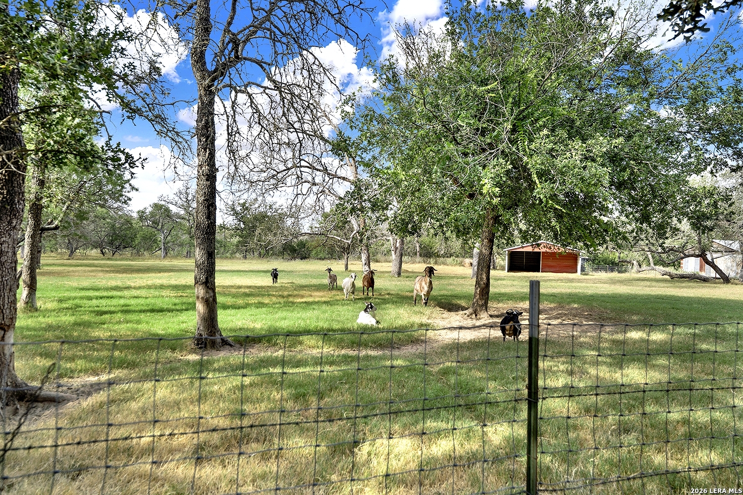 1021 Fm 3432 Adkins TX 78101