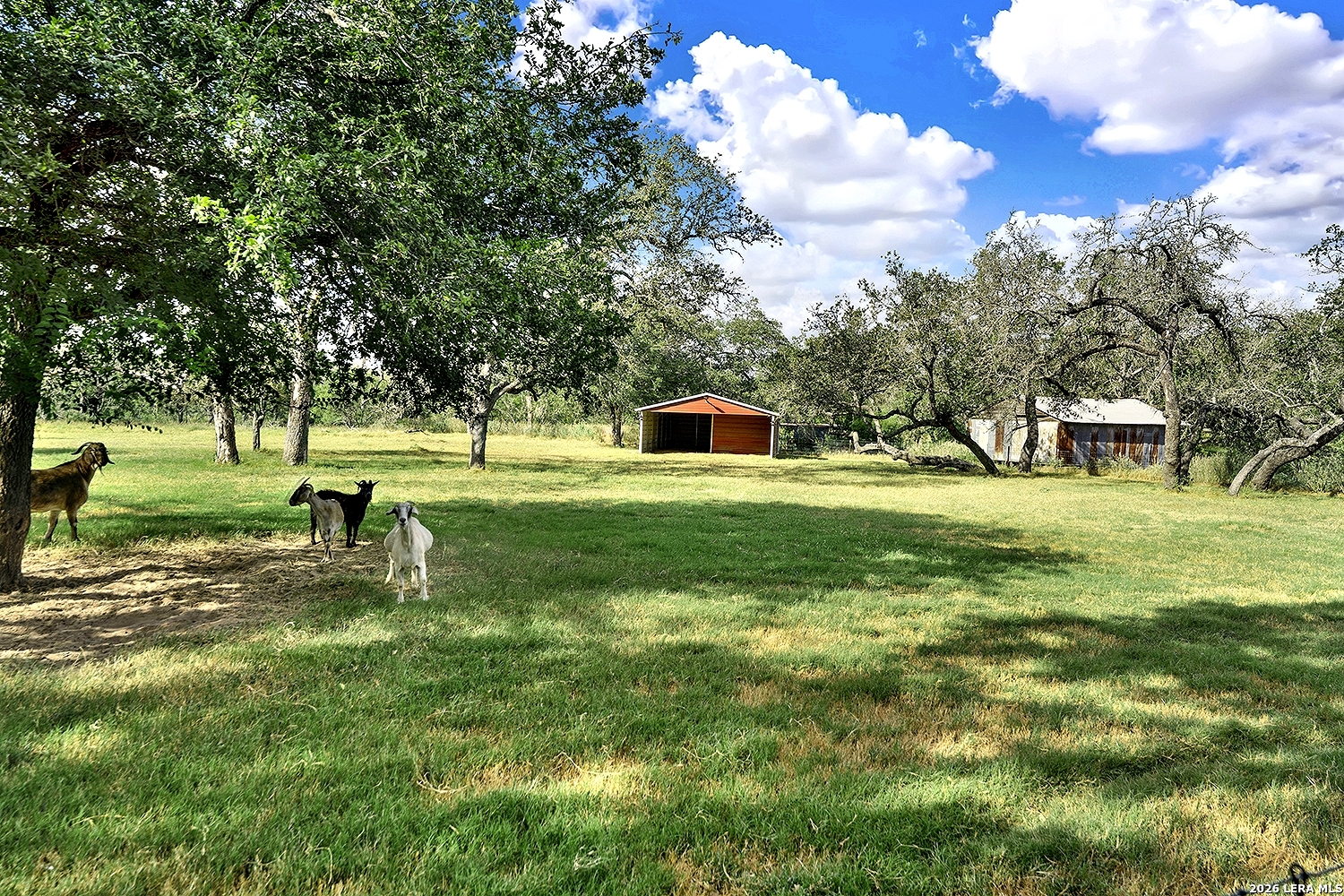 1021 Fm 3432 Adkins TX 78101