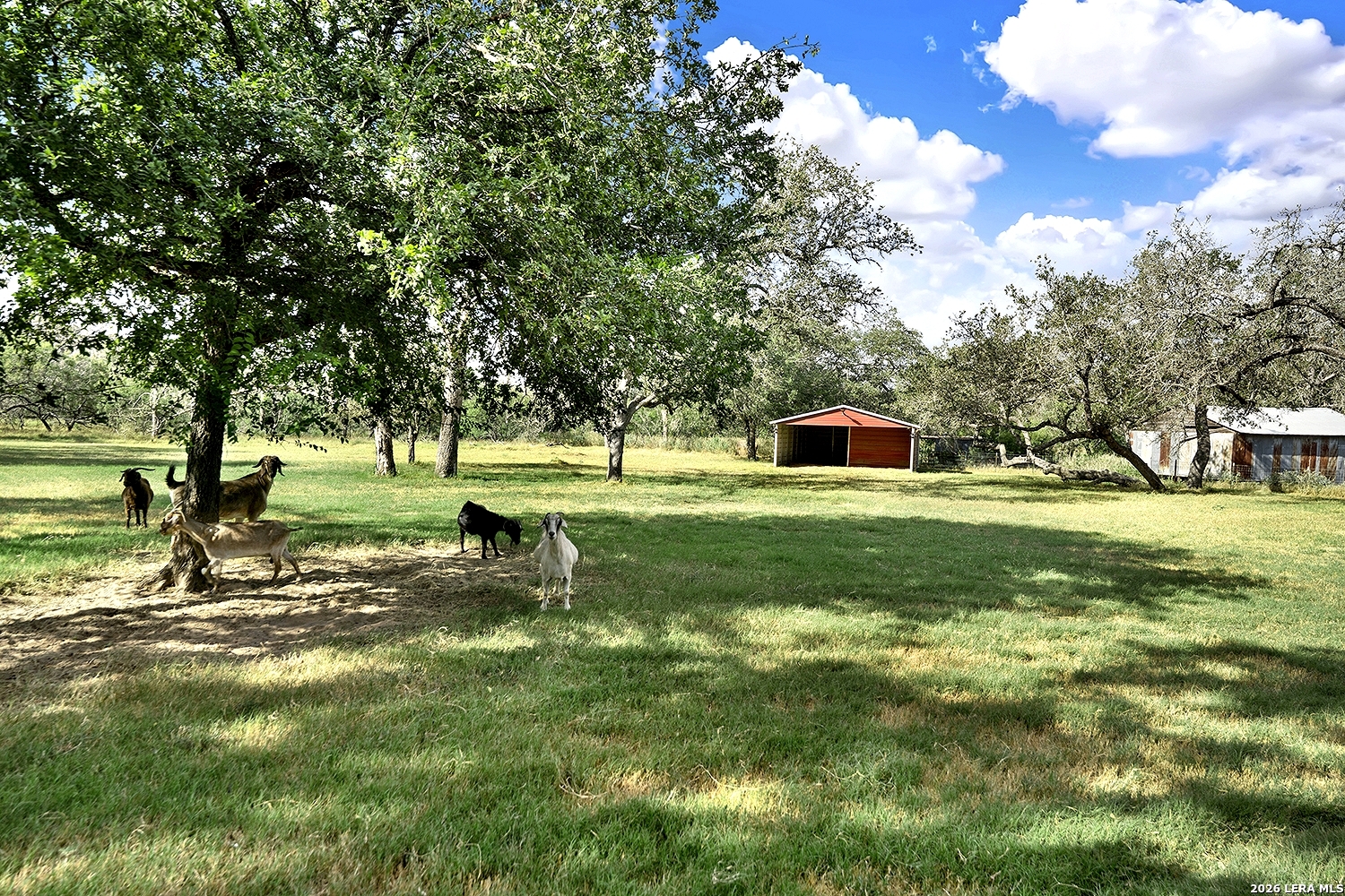 1021 Fm 3432 Adkins TX 78101