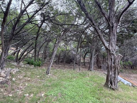 1439 Bonnyview Drive Canyon Lake TX 78133