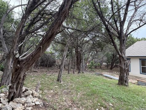 1439 Bonnyview Drive Canyon Lake TX 78133
