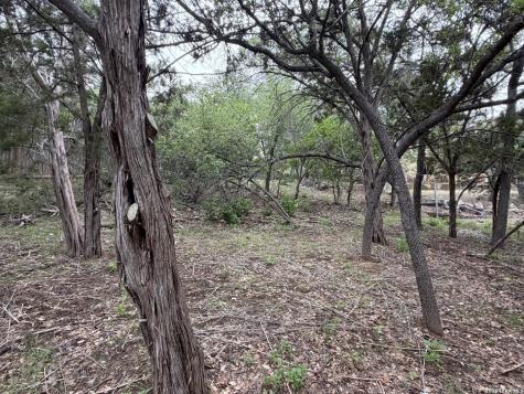 1439 Bonnyview Drive Canyon Lake TX 78133