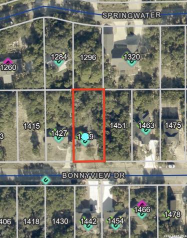 1439 Bonnyview Drive Canyon Lake TX 78133