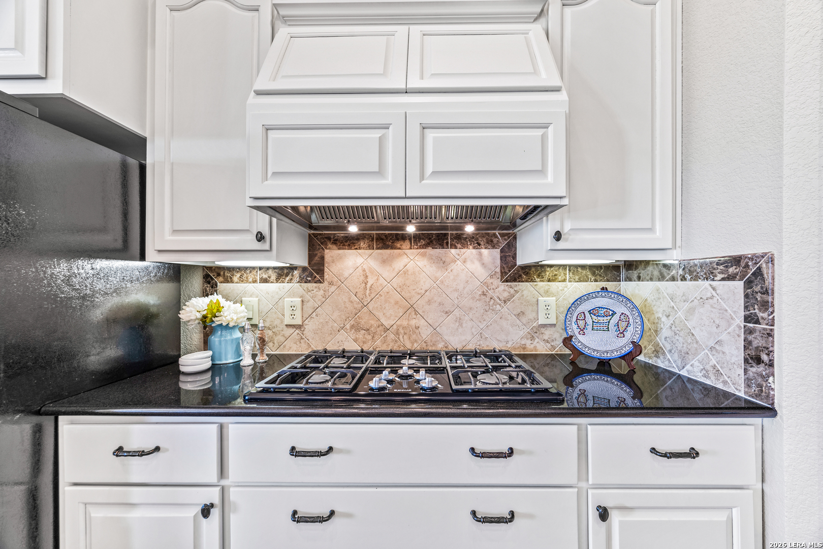 443 Lantana Mesa Spring Branch TX 78070