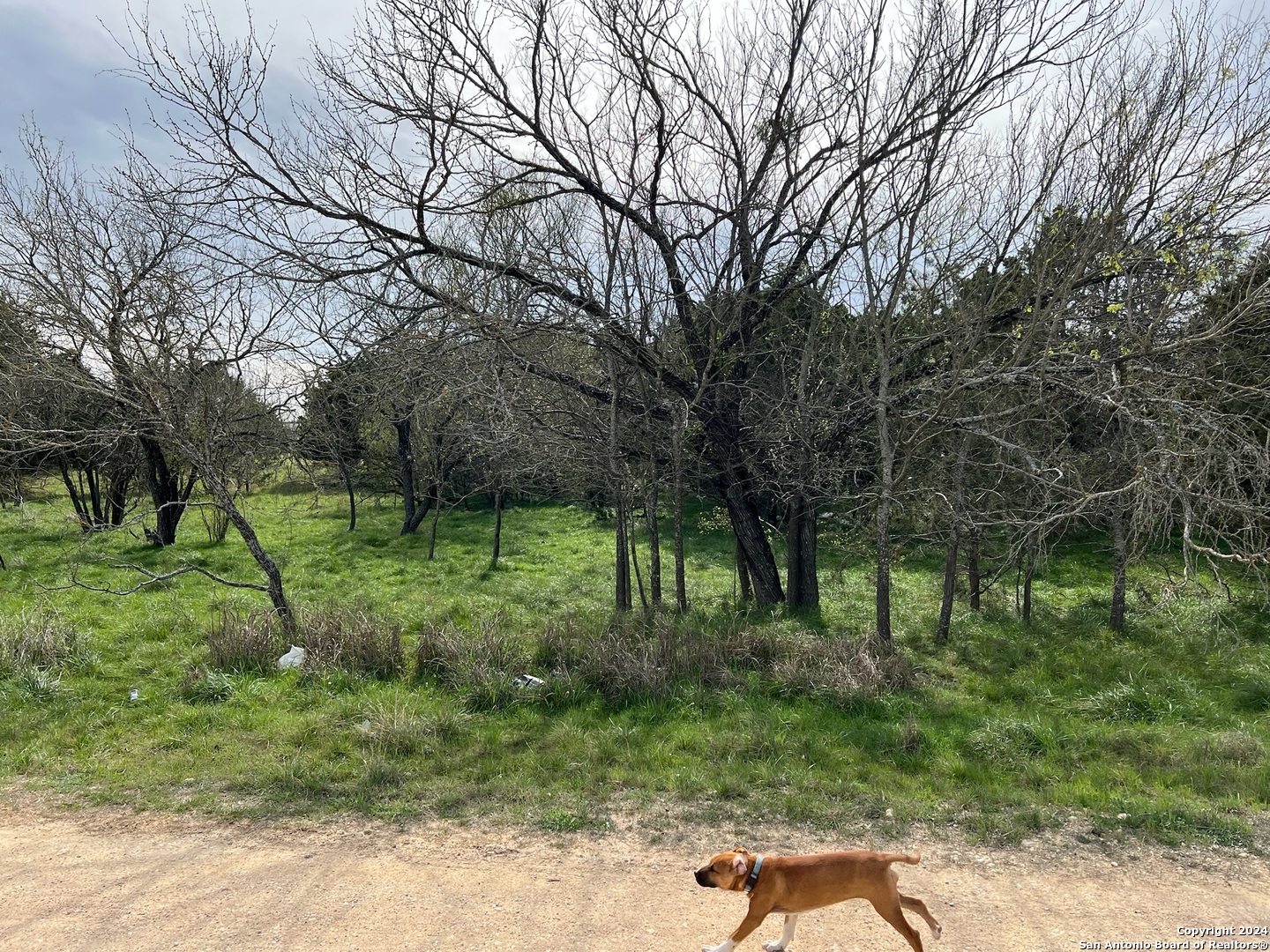 Lot 78 Lake Medina Shores Bandera TX 78003