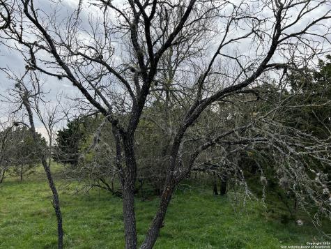 Lot 78 Lake Medina Shores Bandera TX 78003